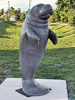 City to unveil manatee sculpture at Sirenia Vista Park